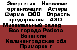 Энергетик › Название организации ­ Астери-Фарма, ООО › Отрасль предприятия ­ АХО › Минимальный оклад ­ 1 - Все города Работа » Вакансии   . Калининградская обл.,Приморск г.